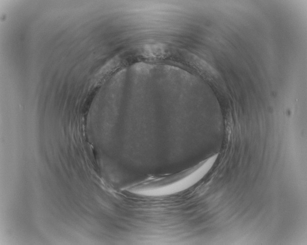 X0000070220233200606161715
