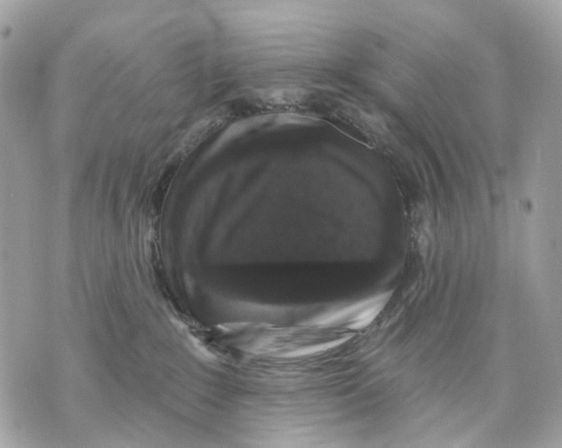 X0000070220235200606161715
