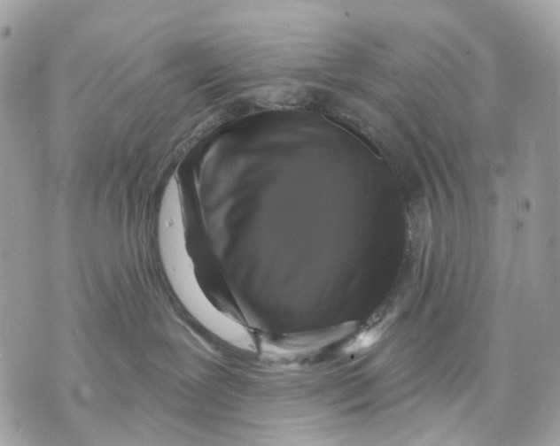 X0000070220239200606161715