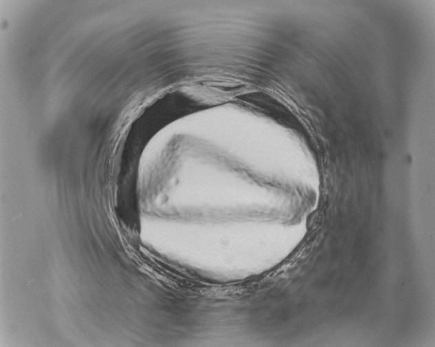 X0000070220241200606161714