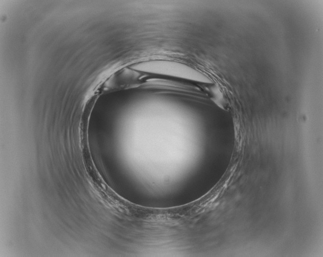 X0000070220244200606161714