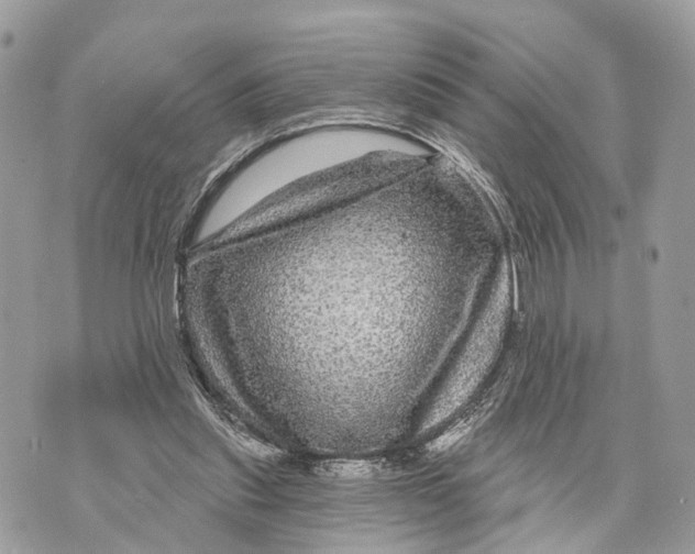 X0000070220253200606161714