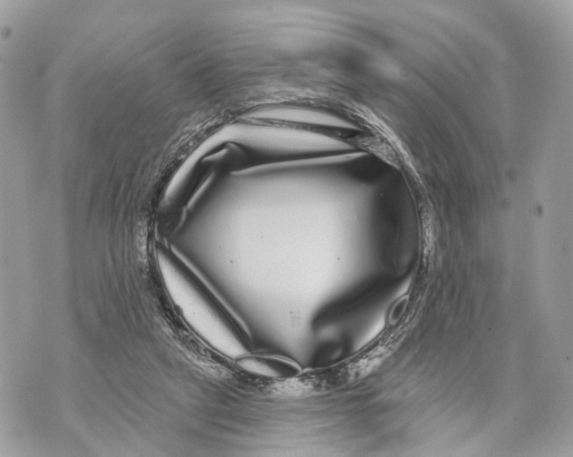 X0000070220257200606161714