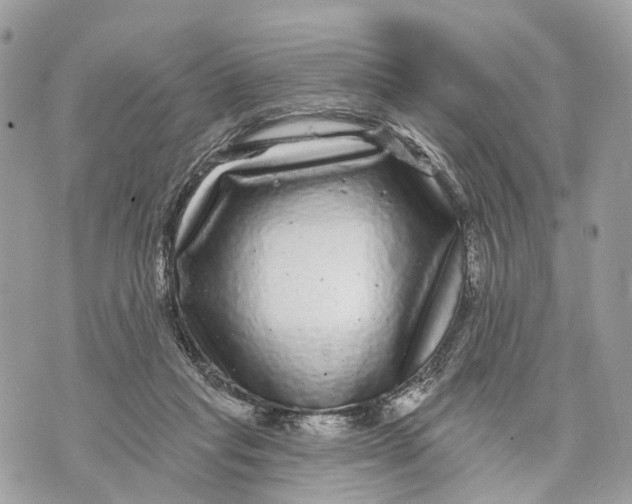 X0000070220261200606161714