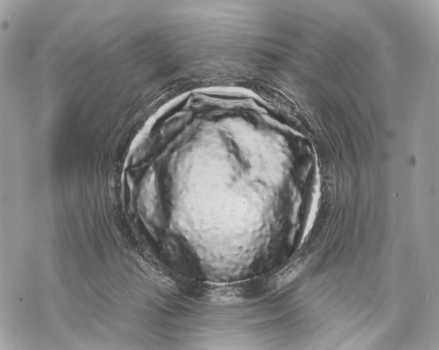 X0000070220269200606161714