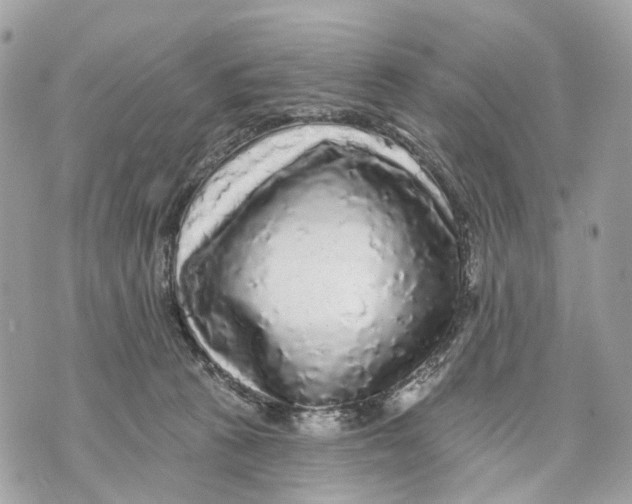 X0000070220273200606161714