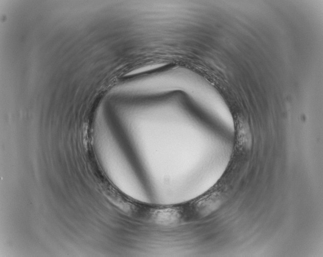 X0000070220275200606161715