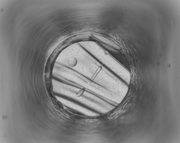 X0000070220292200606161714