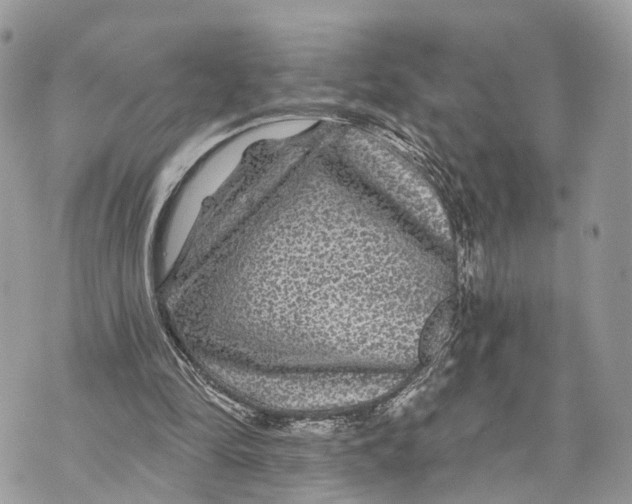 X0000070220294200606161714