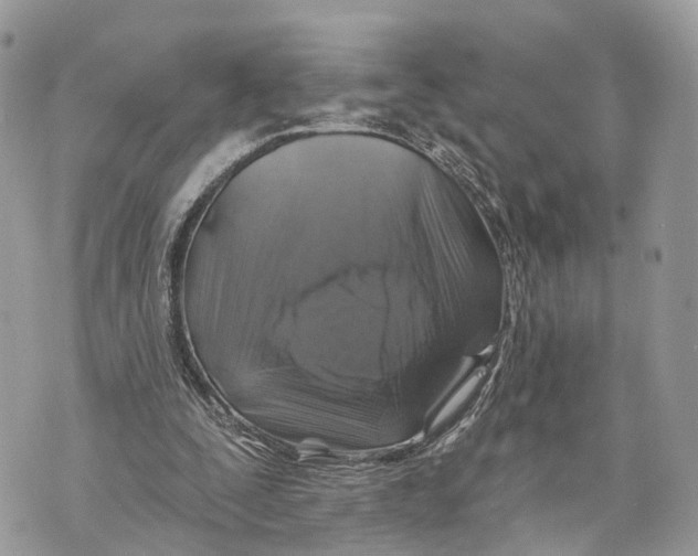 X0000070220295200606161714