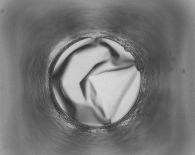 X0000070220296200606161714