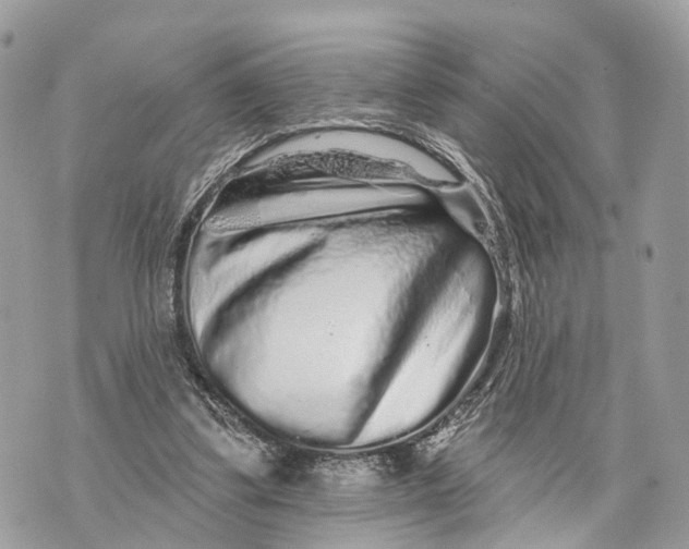X0000070220299200606161714