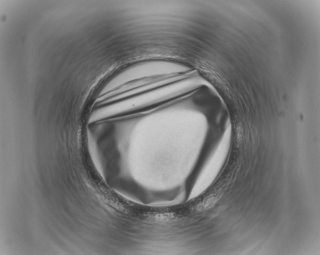 X0000070220304200606161714
