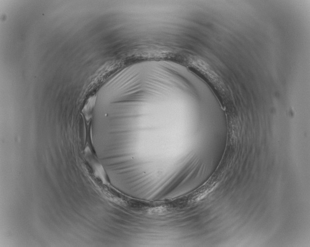X0000070220309200606161714