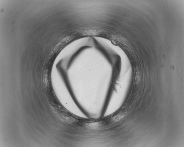 X0000070220312200606161714