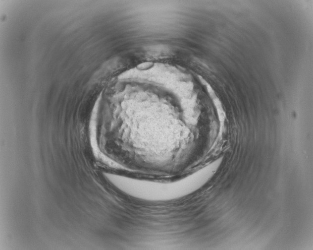 X0000070220327200606161713