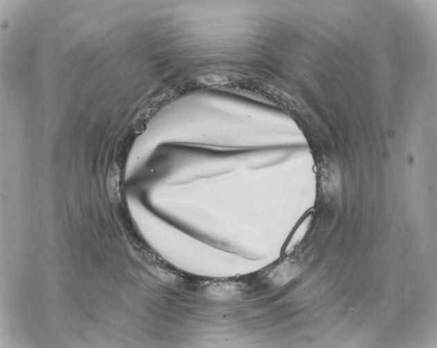 X0000070220332200606161713