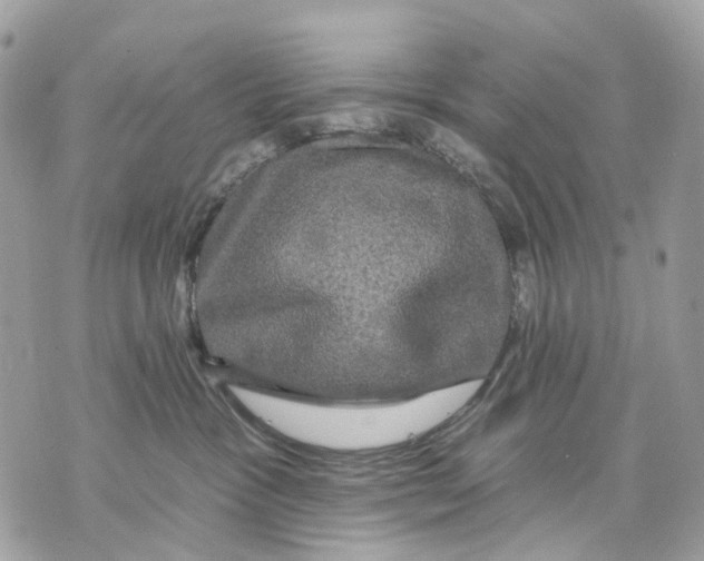 X0000070220333200606161713