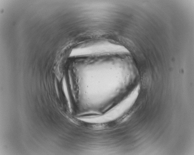 X0000070220335200606161713
