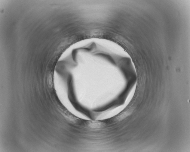 X0000070220336200606161713