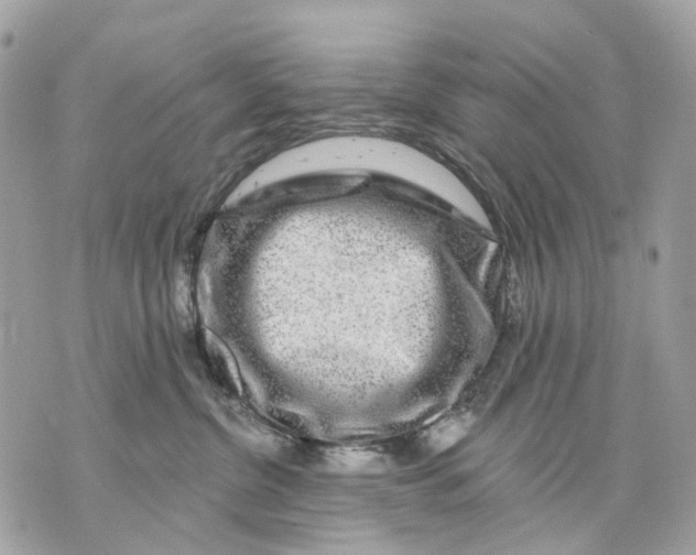 X0000070220380200606161713