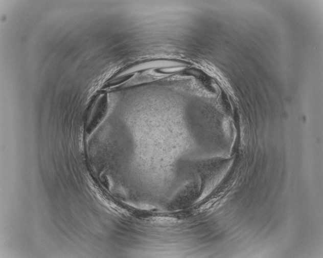 X0000070220393200606161712