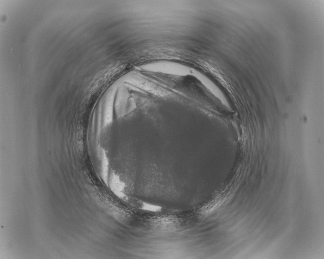 X0000070220402200606161712