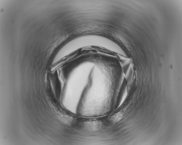 X0000070220404200606161712