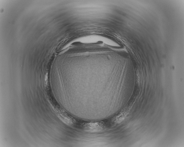 X0000070220406200606161712
