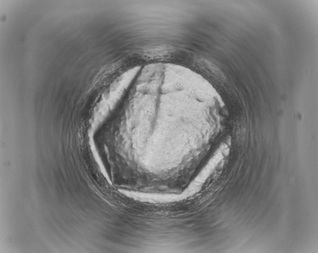 X0000070220408200606161712