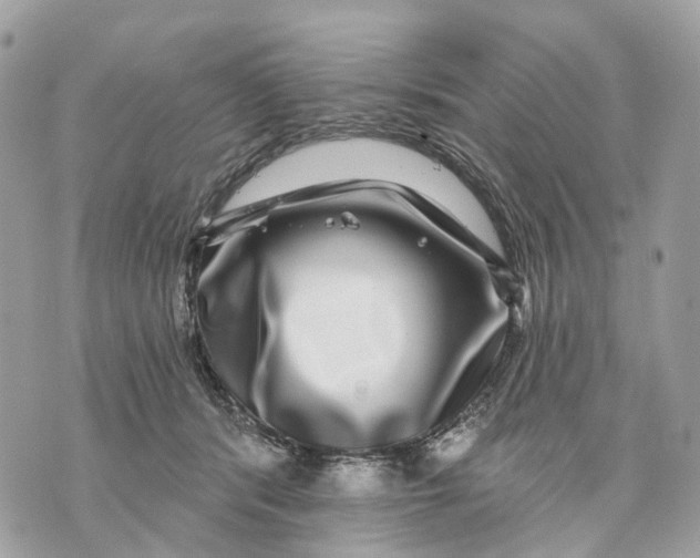 X0000070220416200606161712