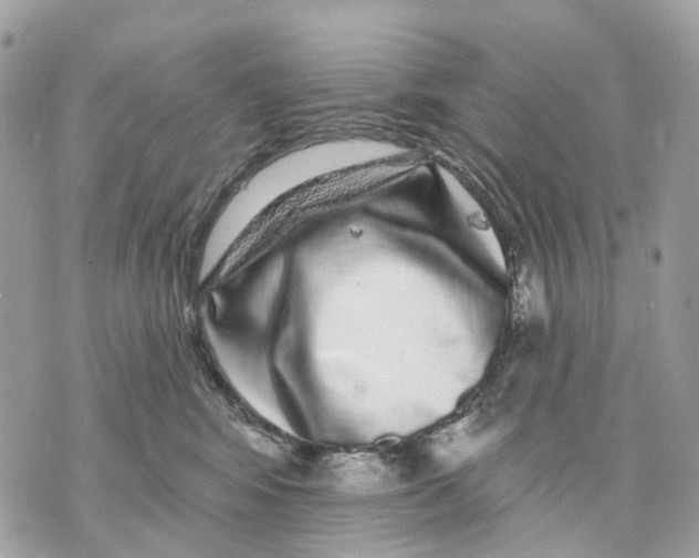 X0000070220424200606161712