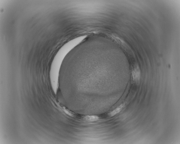 X0000070220429200606161712