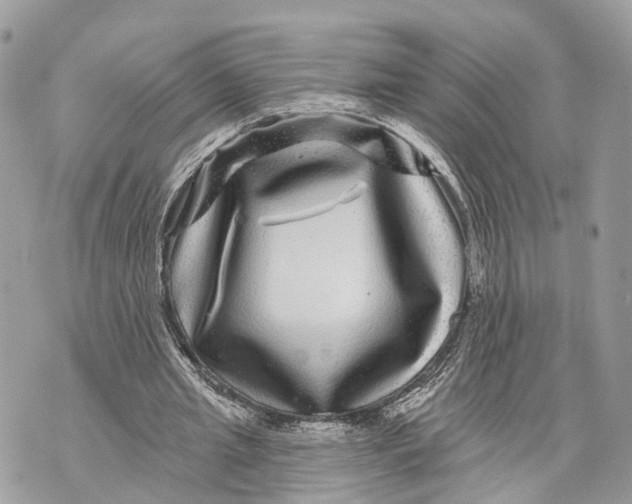 X0000070220437200606161711