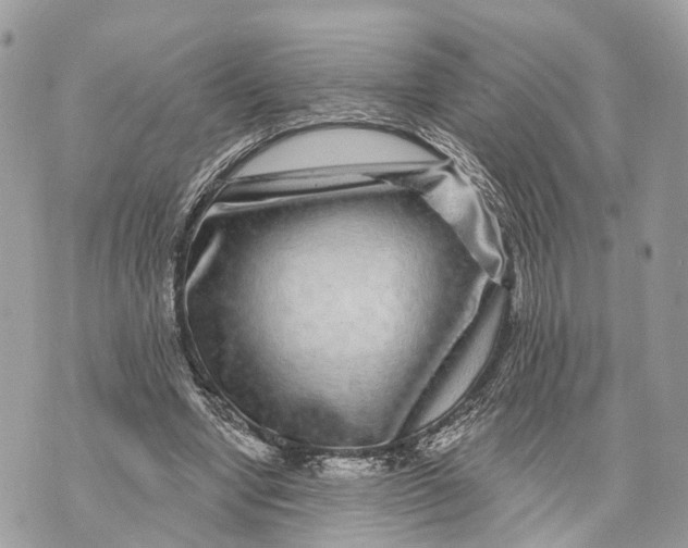 X0000070220442200606161711