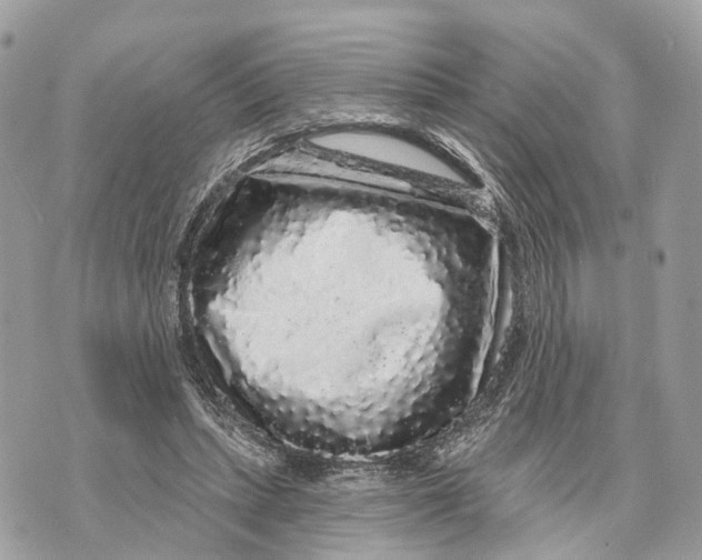 X0000070220447200606161711