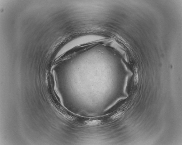 X0000070220452200606161711