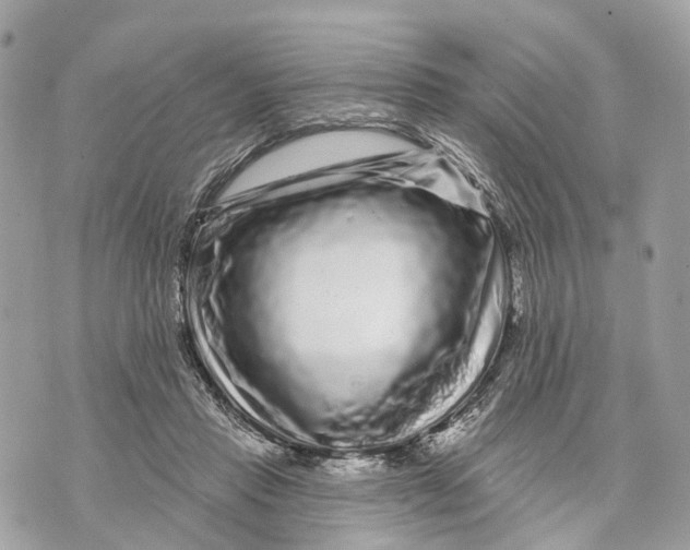 X0000070220453200606161711