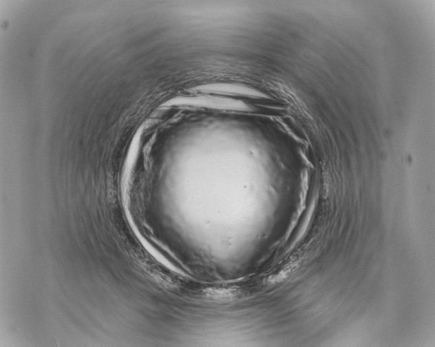 X0000070220457200606161711