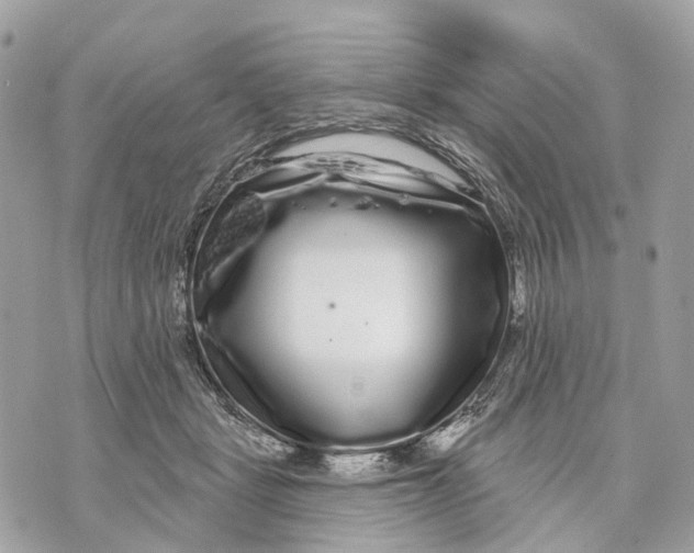 X0000070220461200606161711
