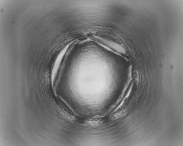 X0000070220466200606161711