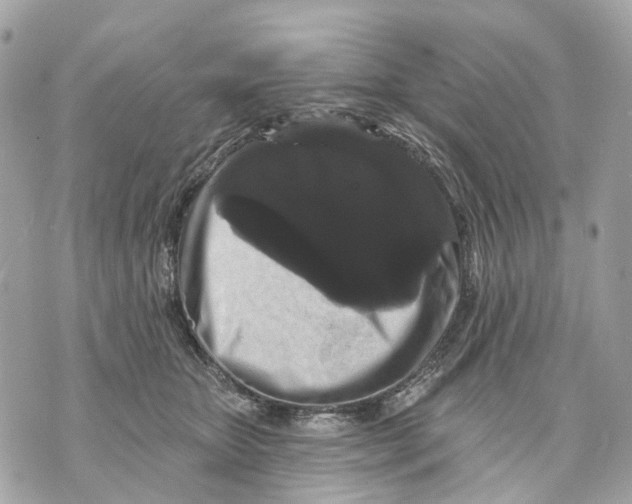 X0000070220467200606161711