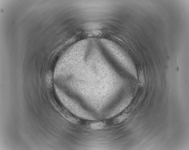 X0000070220468200606161711