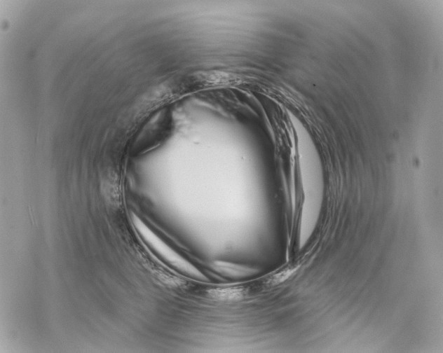 X0000070220469200606161711
