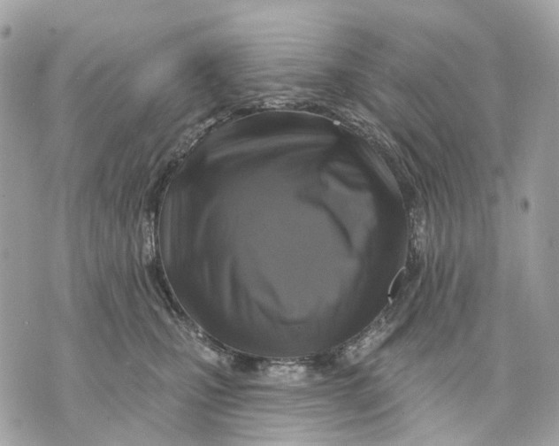 X0000070220471200606161711