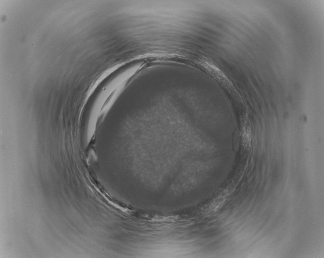 X0000070220484200606161711