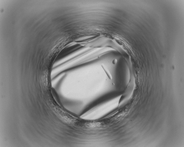 X0000070220501200606161710