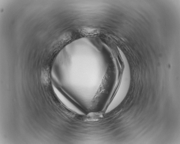 X0000070220515200606161710
