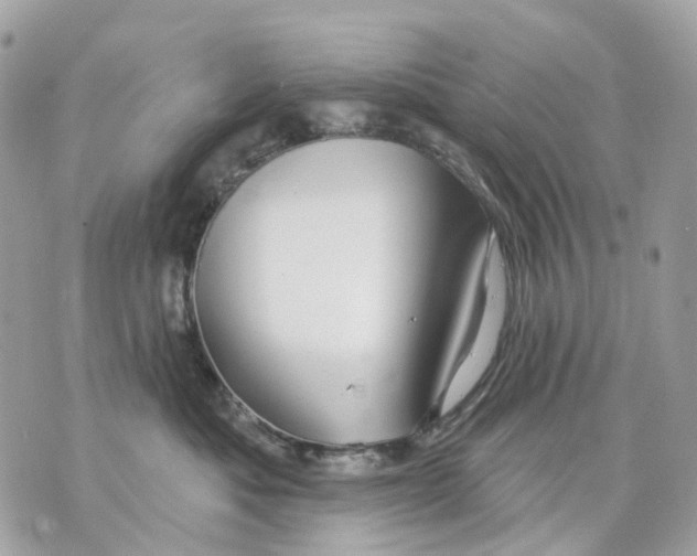 X0000070220525200606161710