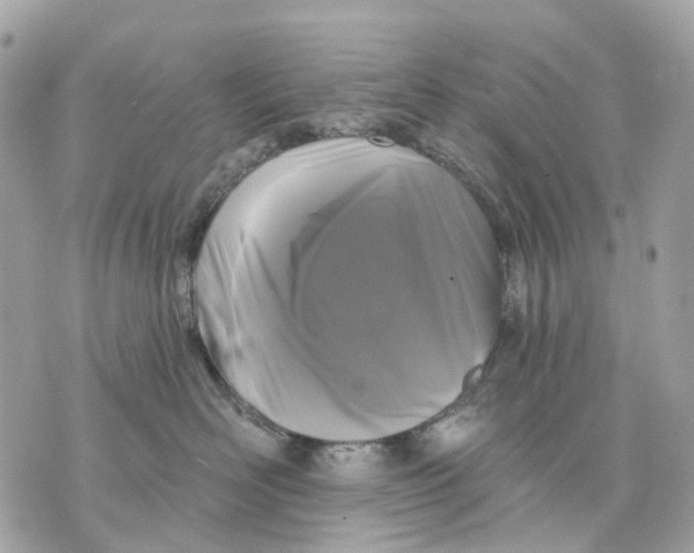 X0000070220526200606161710